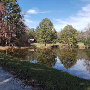 pond