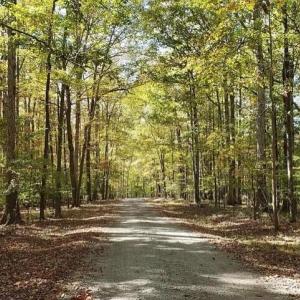 gravel road