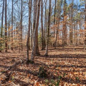 15-web-or-mls-DSC07598