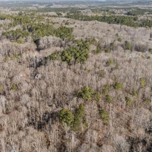 8-web-or-mls-DJI_20240218112341_0936_D