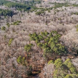 3-web-or-mls-DJI_20240218112139_0927_D