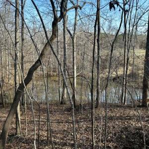 647062385_3341945052649829_8020462397313