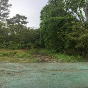 Photo #4 of 2022 Holland Road, Suffolk, Virginia 0.9 acres