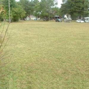 Photo #2 of 2028 Holland Road, Suffolk, Virginia 0.6 acres