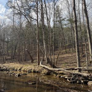 Creek