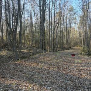 Lot 1 former farm drive