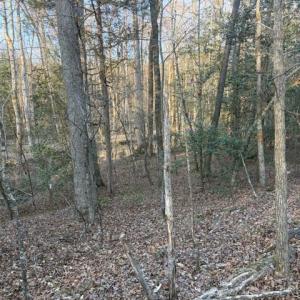 Lot Rear Property Line