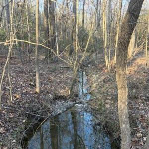 Lot 1 Creek