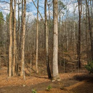 500MarvinEdwardsLn-040