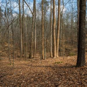 500MarvinEdwardsLn-041