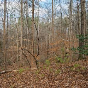 500MarvinEdwardsLn-042