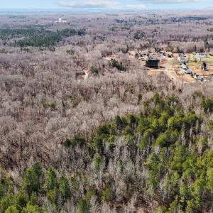 15-web-or-mls-DJI_20250217110045_0036_D