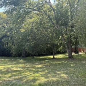 Screen Shot 2025-11-07 at 11.20.27 AM