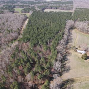 DJI_0766