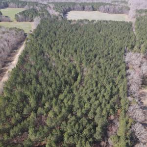 DJI_0767