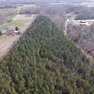 DJI_0768
