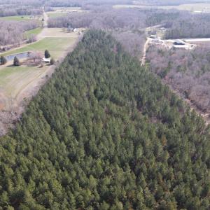DJI_0769