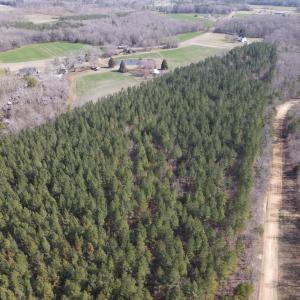 DJI_0770