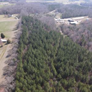 DJI_0771