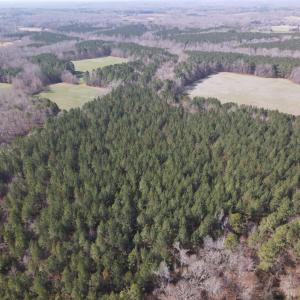 DJI_0772