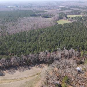 DJI_0773