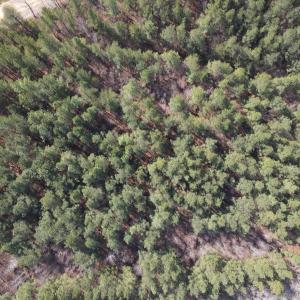 DJI_0774