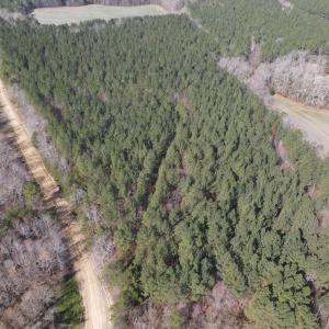 DJI_0775