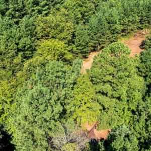 Photo #16 of Stagecoach, Oxford, NC 8.5 acres