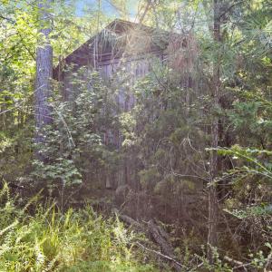 Photo #13 of Stagecoach, Oxford, NC 8.5 acres