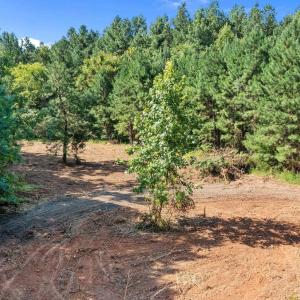 Photo #5 of Stagecoach, Oxford, NC 8.5 acres