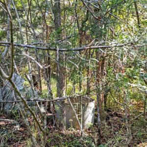 Photo #14 of Stagecoach, Oxford, NC 8.5 acres