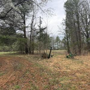 52B3F79F-E10F-464B-B6C5-05EFDD3BC3B2_1_1