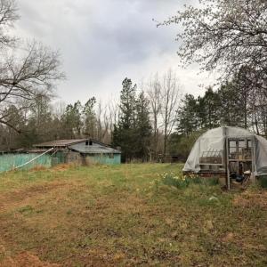 C4097B62-5B94-4C80-BB75-C362987131DA_1_1