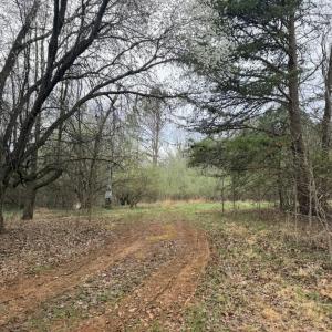 E6EEA5C4-878C-437F-8C78-64DEA8F8130E_1_1