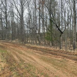 67842006-7CB0-4232-A4F8-57FD5AC4578E_1_1