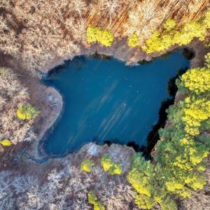 18-DJI_20260113084903_0117_D