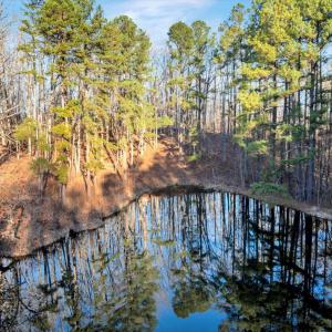 21-DJI_20260113085039_0132_D