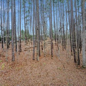 22-DJI_20260227135548