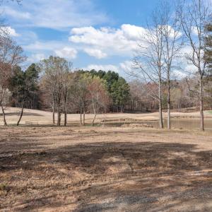 4-web-or-mls-DJI_0706