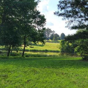 seller photo course 54 Caswell Pines