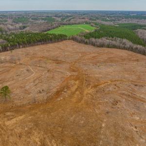 Landview3