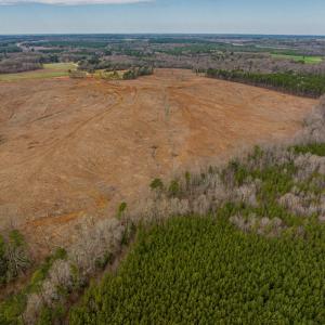 Landview2