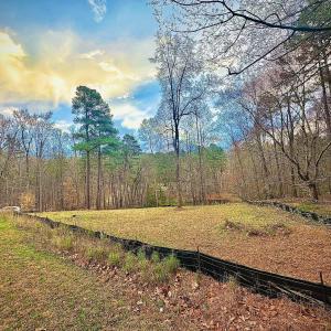 C8F6CBD3-2944-4015-B0CC-8AE377EB7C5C_1_1