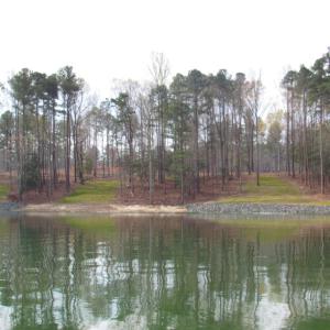 Water views (1)