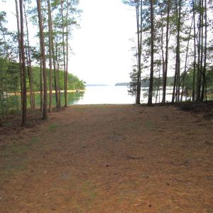 lot 6 (3)