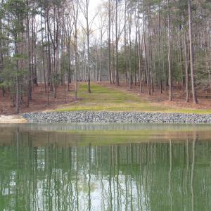 Water views (5)