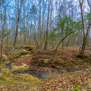 Jones Ferry Lots-15