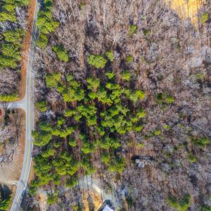 Jones Ferry Lots-8