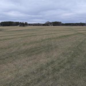 Screenshot 2026-03-09 113657