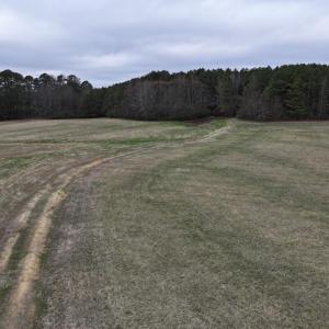 Screenshot 2026-03-09 113648